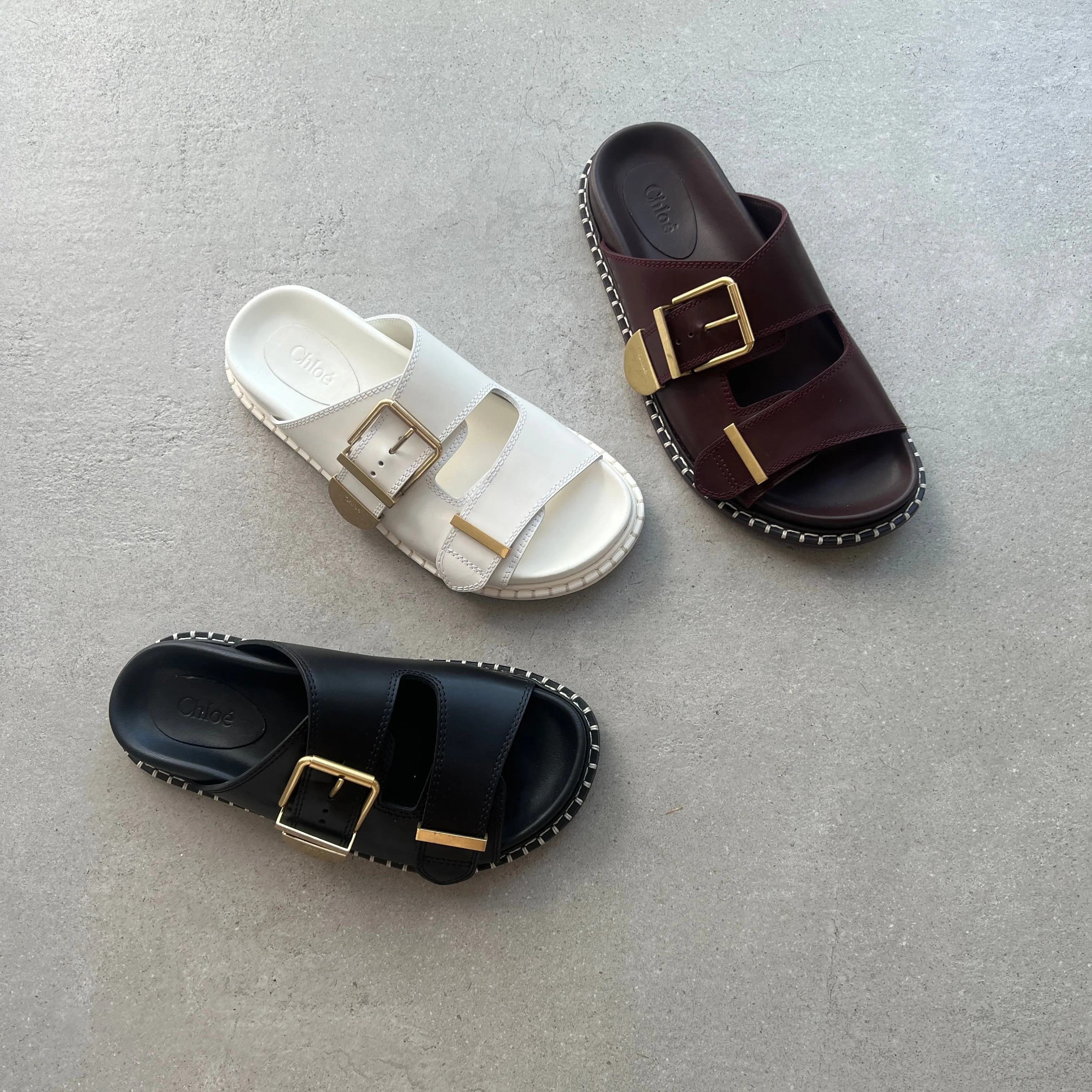 Rebecca Slides, Black